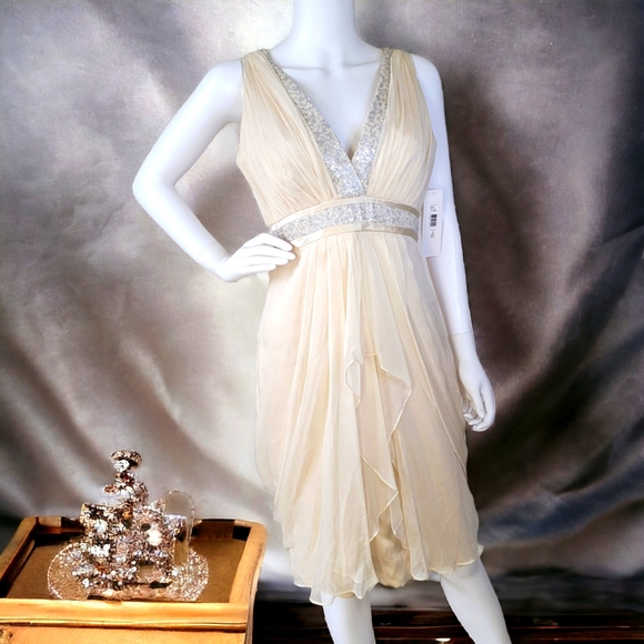 Badgley Mischka Dresses & Skirts - NWT - Women's Badgley Mischka 100 % Silk Dress (Cream w/Silver Sequins) Size 6